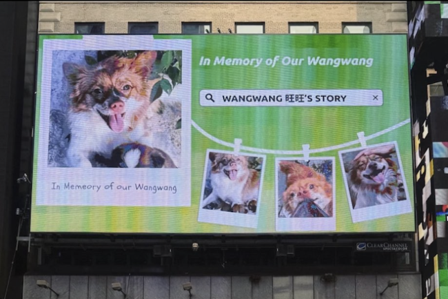 id14815440-0de88465f87138b44483630dbe75a2f5 id14815440-0de88465f87138b44483630dbe75a2f5